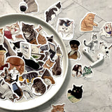 Animal Graffiti Stickers - National Stores