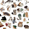 Animal Graffiti Stickers - National Stores